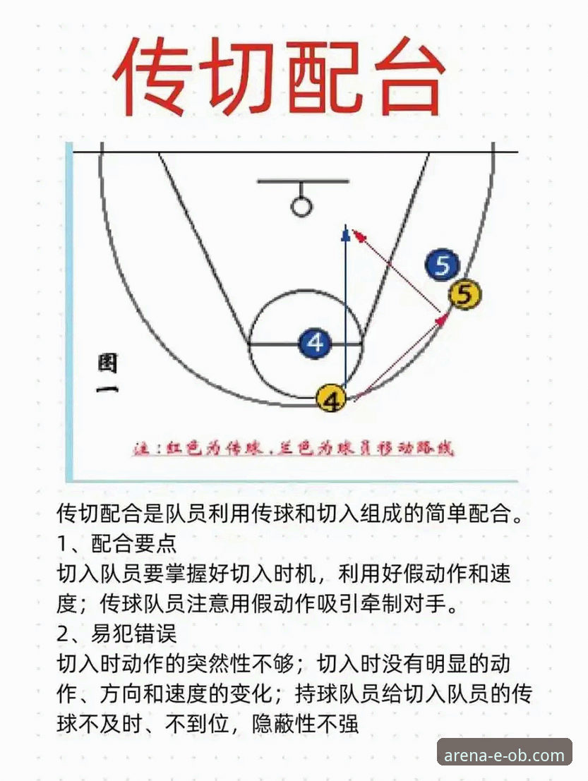 揭秘OB体育网页版攻略：新手必看的5个隐藏功能与操作技巧